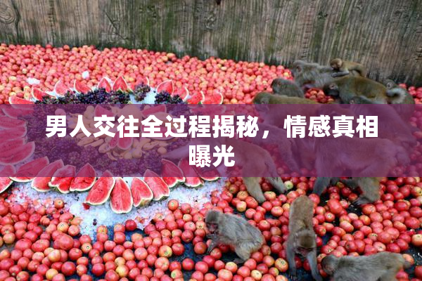 男人交往全过程揭秘，情感真相曝光