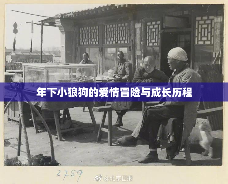 年下小狼狗的爱情冒险与成长历程