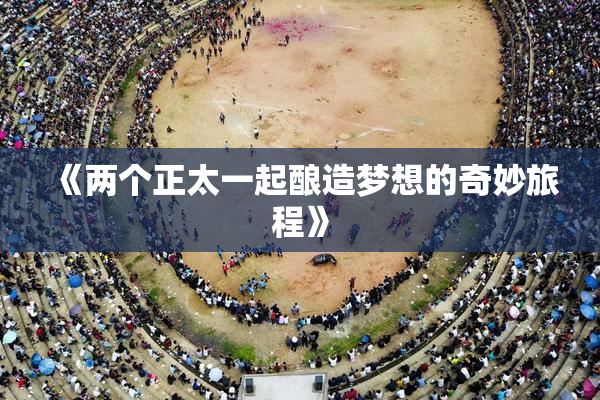 《两个正太一起酿造梦想的奇妙旅程》
