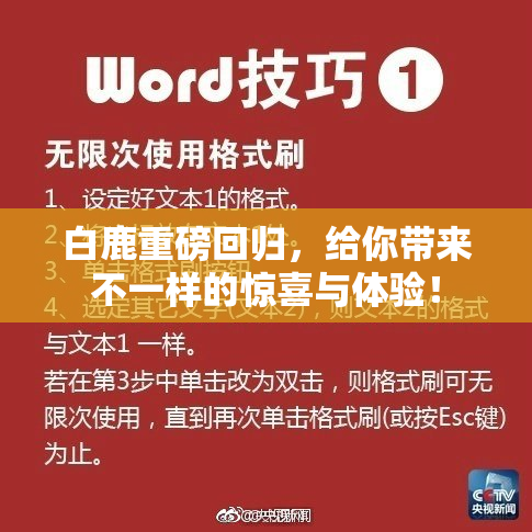 白鹿重磅回归，给你带来不一样的惊喜与体验！