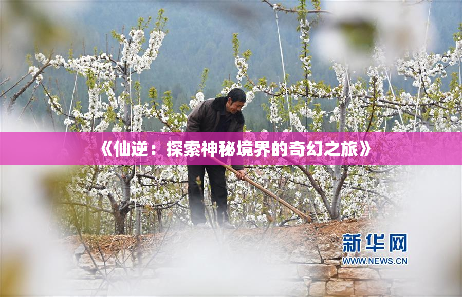《仙逆：探索神秘境界的奇幻之旅》
