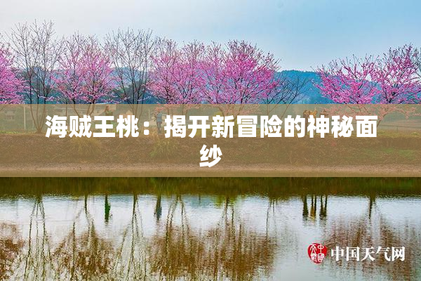 海贼王桃：揭开新冒险的神秘面纱