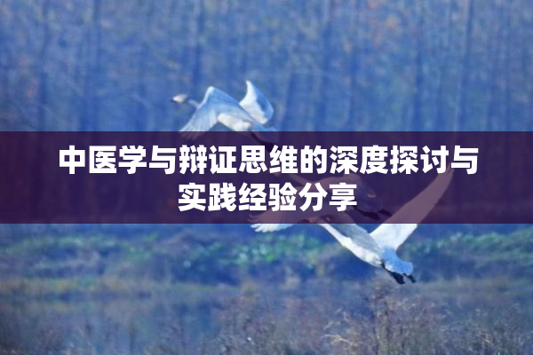中医学与辩证思维的深度探讨与实践经验分享