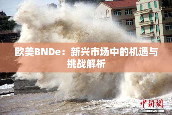 欧美BNDe：新兴市场中的机遇与挑战解析