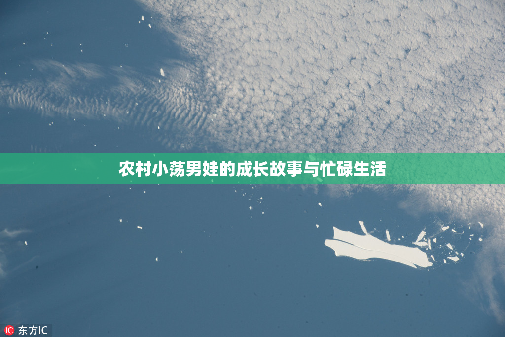 农村小荡男娃的成长故事与忙碌生活