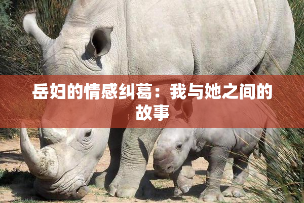 岳妇的情感纠葛：我与她之间的故事