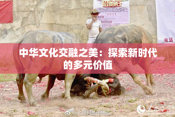 中华文化交融之美：探索新时代的多元价值