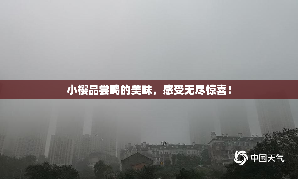 小樱品尝鸣的美味，感受无尽惊喜！