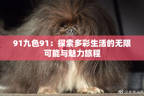 91九色91：探索多彩生活的无限可能与魅力旅程