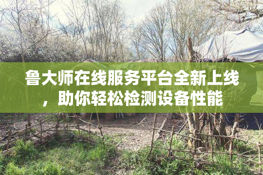 鲁大师在线服务平台全新上线，助你轻松检测设备性能