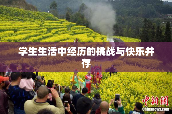 学生生活中经历的挑战与快乐并存