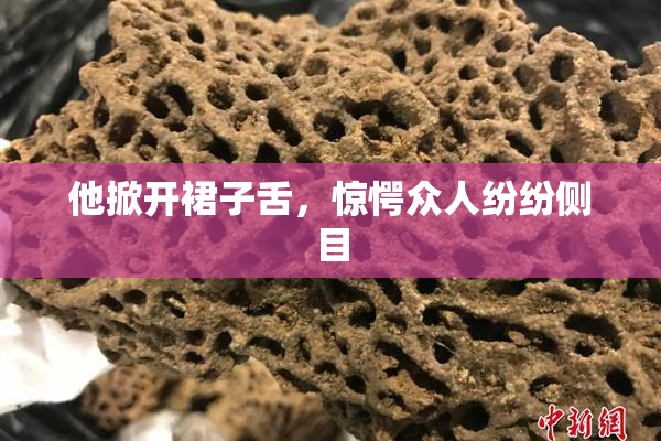 他掀开裙子舌，惊愕众人纷纷侧目