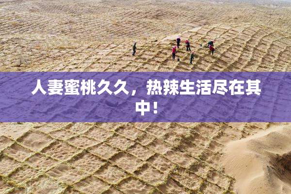 人妻蜜桃久久，热辣生活尽在其中！
