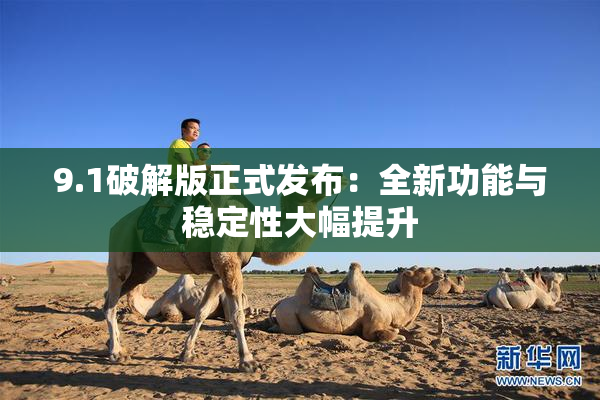 9.1破解版正式发布：全新功能与稳定性大幅提升