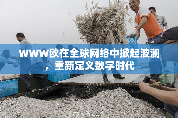 WWW欧在全球网络中掀起波澜，重新定义数字时代