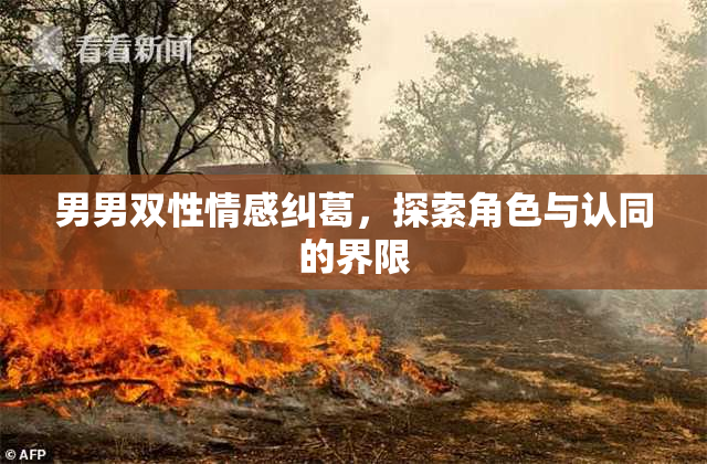 男男双性情感纠葛，探索角色与认同的界限