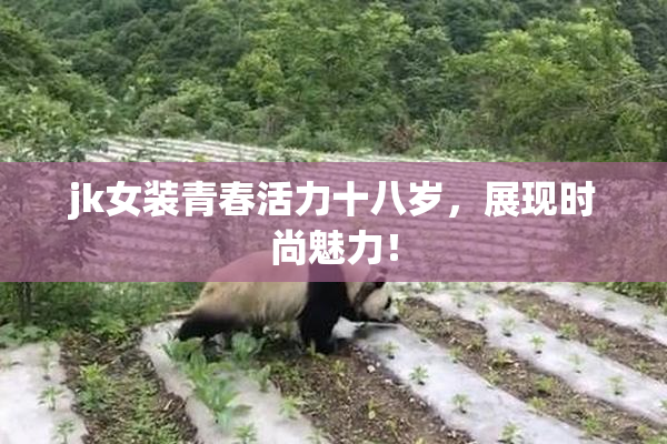 jk女装青春活力十八岁，展现时尚魅力！