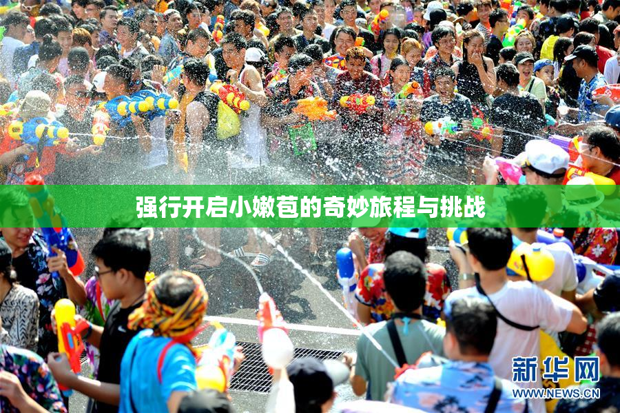 强行开启小嫩苞的奇妙旅程与挑战