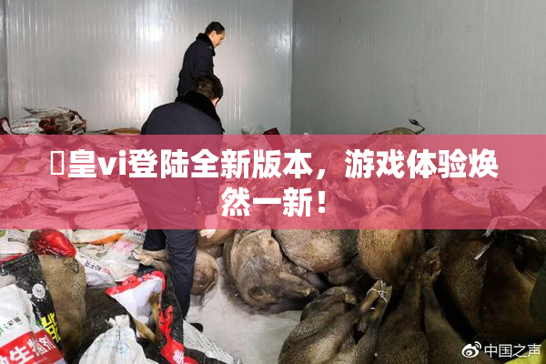 嘼皇vi登陆全新版本，游戏体验焕然一新！
