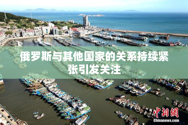 俄罗斯与其他国家的关系持续紧张引发关注