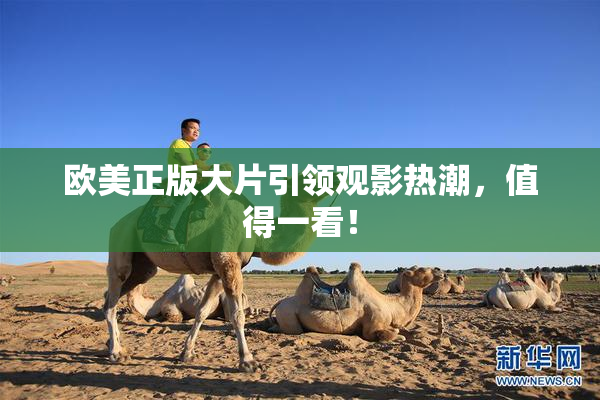 欧美正版大片引领观影热潮，值得一看！