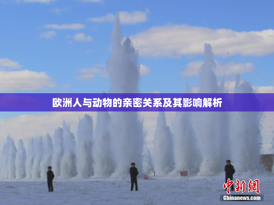 欧洲人与动物的亲密关系及其影响解析