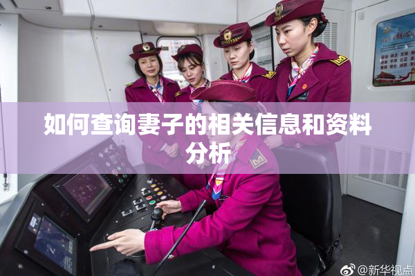如何查询妻子的相关信息和资料分析