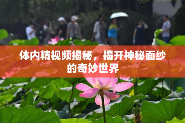 体内精视频揭秘，揭开神秘面纱的奇妙世界
