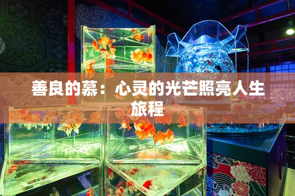 善良的慕：心灵的光芒照亮人生旅程