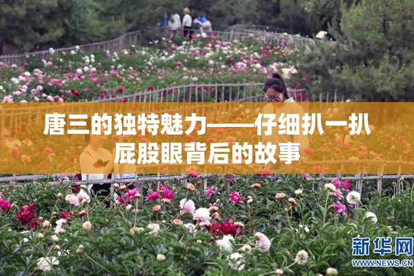 唐三的独特魅力——仔细扒一扒屁股眼背后的故事