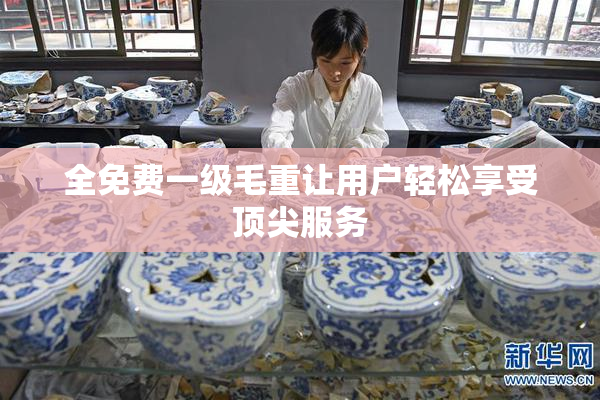 全免费一级毛重让用户轻松享受顶尖服务
