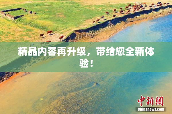 精品内容再升级，带给您全新体验！