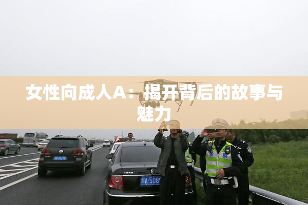 女性向成人A：揭开背后的故事与魅力