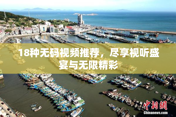 18种无码视频推荐，尽享视听盛宴与无限精彩