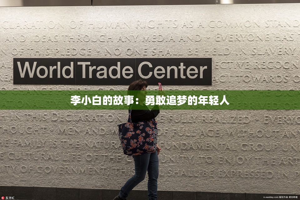 李小白的故事：勇敢追梦的年轻人