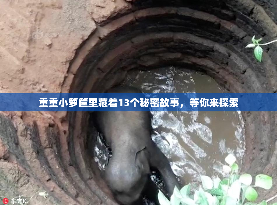 重重小箩筐里藏着13个秘密故事，等你来探索