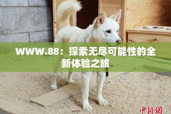WWW.88：探索无尽可能性的全新体验之旅