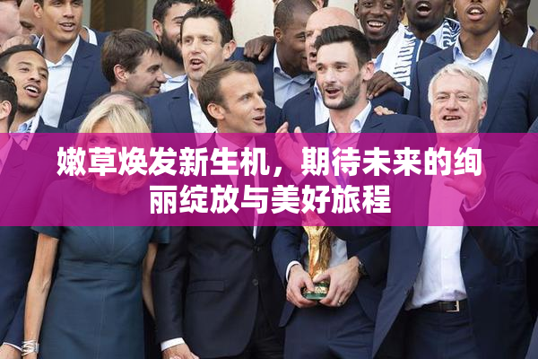 嫩草焕发新生机，期待未来的绚丽绽放与美好旅程