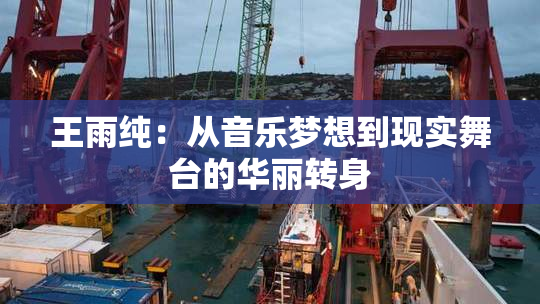 王雨纯：从音乐梦想到现实舞台的华丽转身