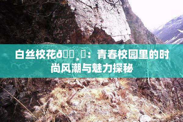 白丝校花🌸‌：青春校园里的时尚风潮与魅力探秘