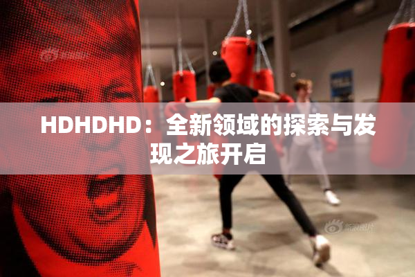 HDHDHD：全新领域的探索与发现之旅开启