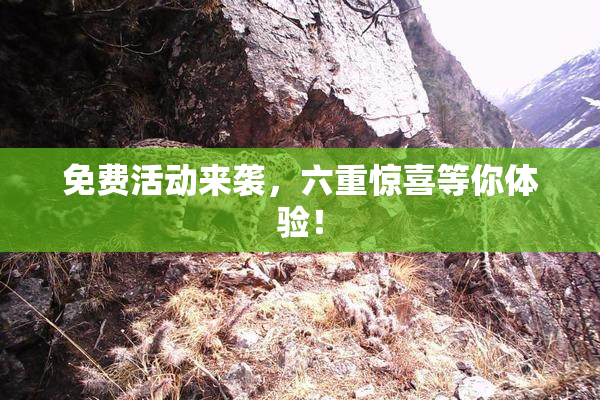 免费活动来袭，六重惊喜等你体验！