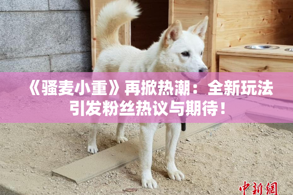 《骚麦小重》再掀热潮：全新玩法引发粉丝热议与期待！