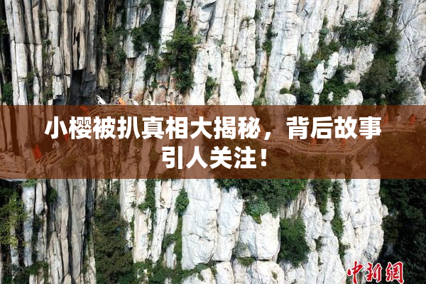 小樱被扒真相大揭秘，背后故事引人关注！