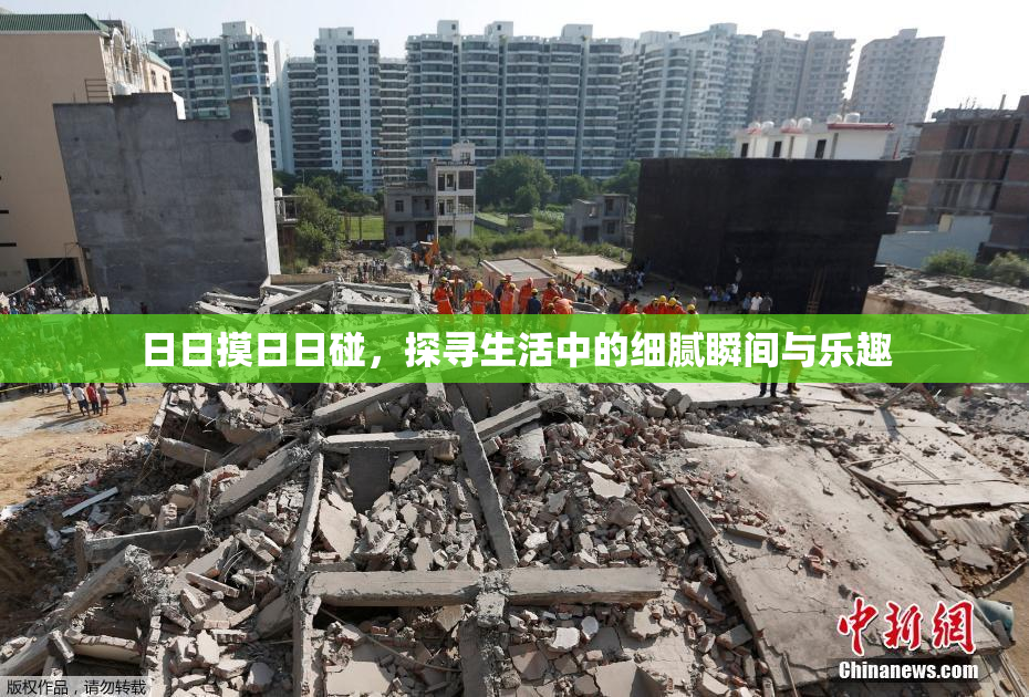 日日摸日日碰，探寻生活中的细腻瞬间与乐趣