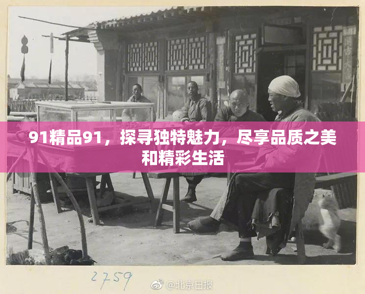 91精品91，探寻独特魅力，尽享品质之美和精彩生活