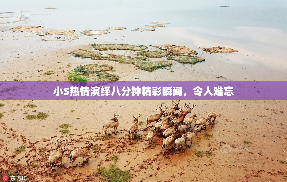 小S热情演绎八分钟精彩瞬间，令人难忘