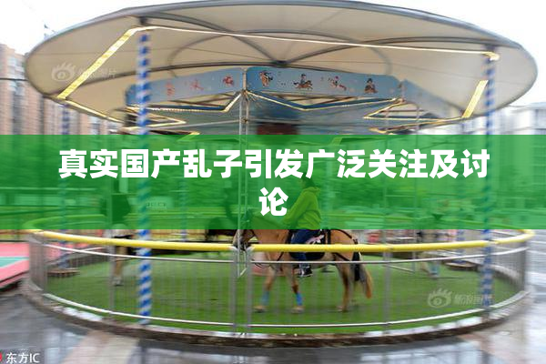 真实国产乱子引发广泛关注及讨论