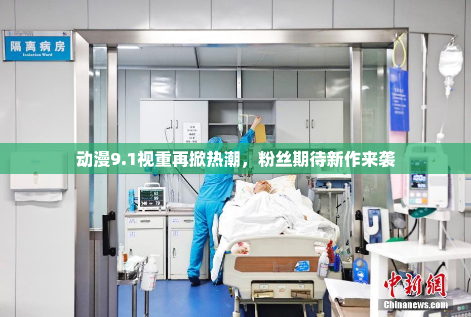 动漫9.1视重再掀热潮，粉丝期待新作来袭