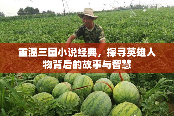 重温三国小说经典，探寻英雄人物背后的故事与智慧